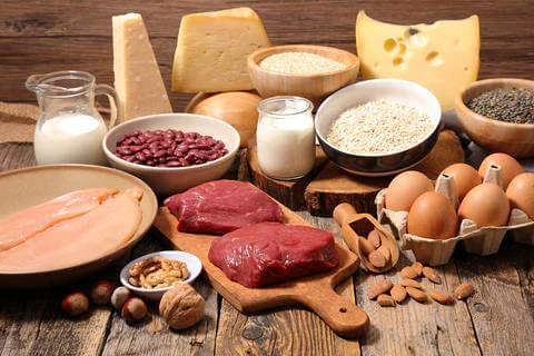 Introduction-to-Protein_480x480 (1).jpg