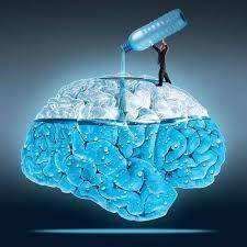 Water_and_Brain_480x480 (1) (1).jpg