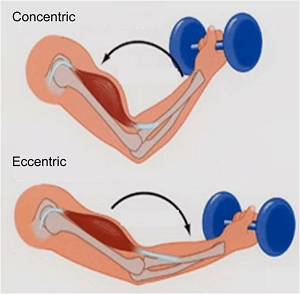 conc_ecc-1_large (1) (1).jpg